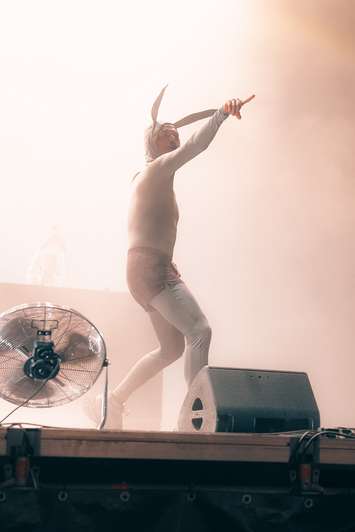 Tommy Cash 2024 — image 11