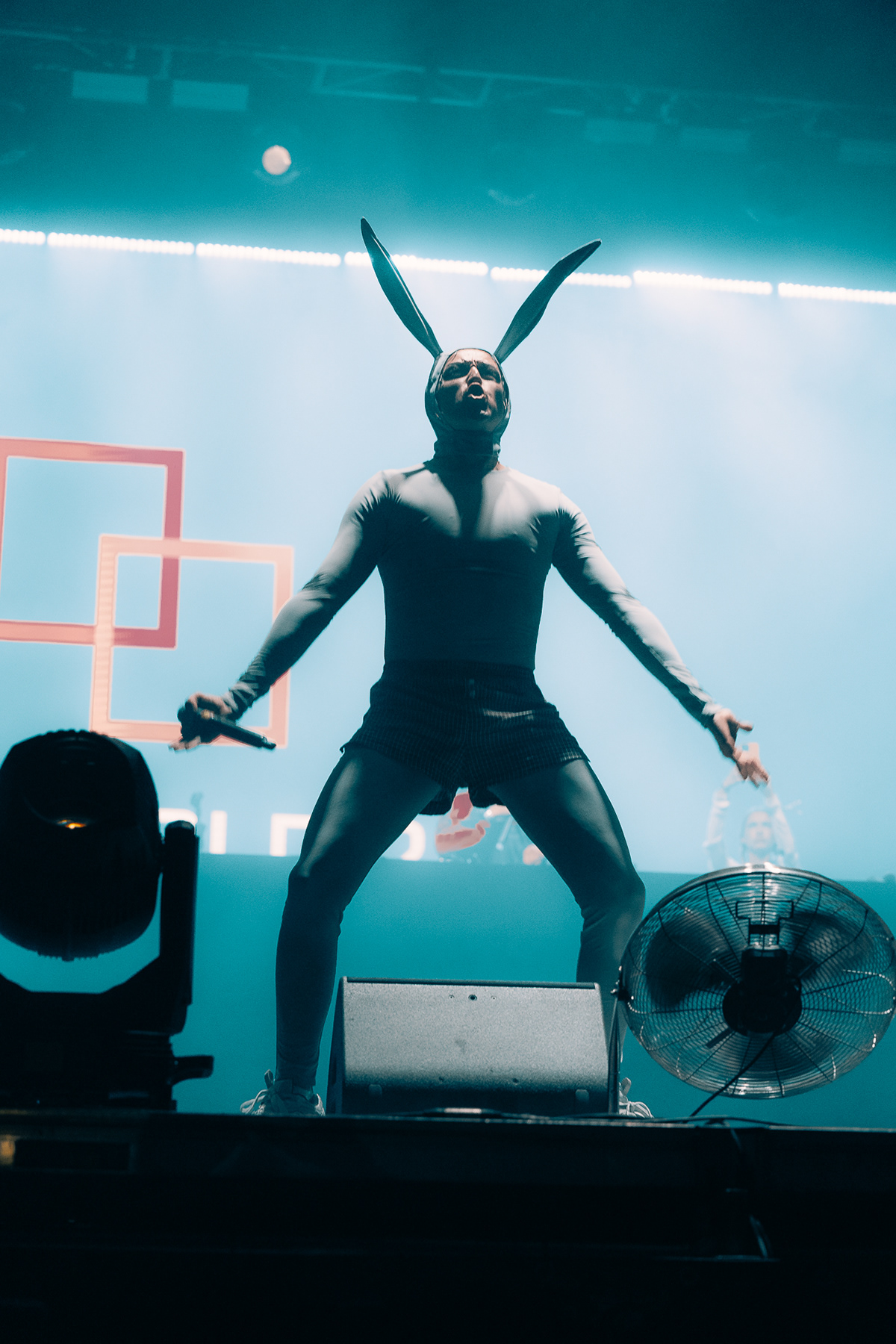 Tommy Cash 2024 — image 7